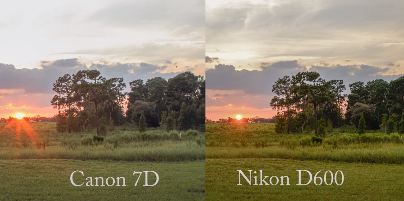 Nikon D600 Dynamic Range